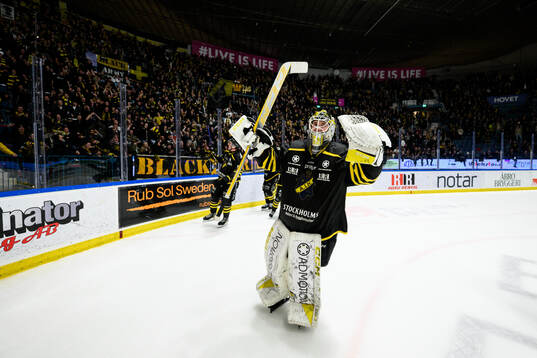 AIKs målvakt Tobias Normann jublar