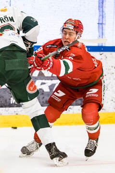 Moras Petter Vesterheim