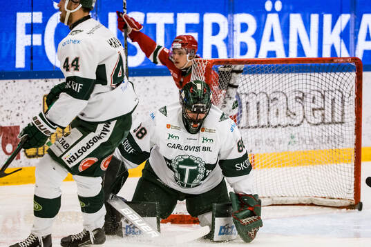Tingsryds målvakt Tomas Ryden deppar