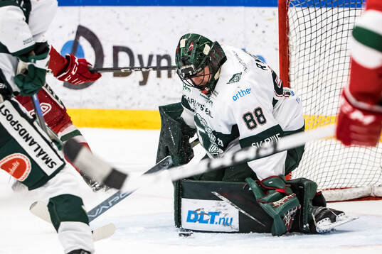 Tingsryds målvakt Tomas Ryden