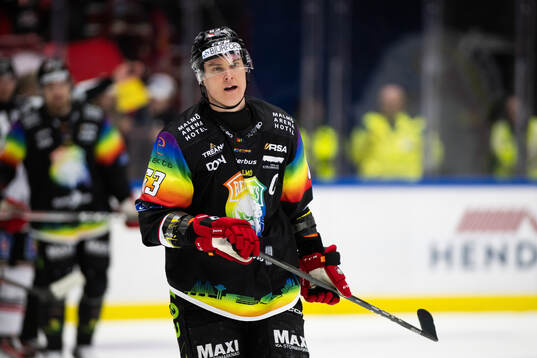 Malmö Redhawks Fredrik Händemark