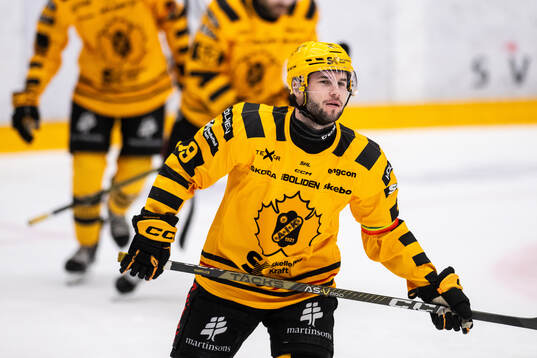 Skellefteås Martins Dzierkals jublar