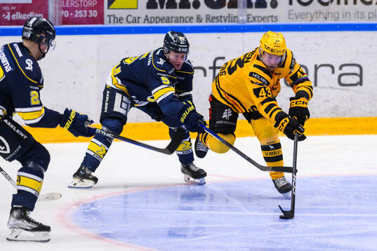 HV71s Victor Sjöholm och Skellefteås Filip Sandberg