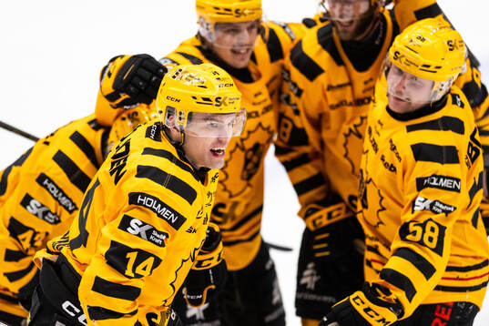 Skellefteås Andreas Johnson jublar