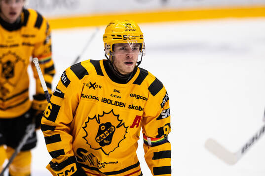 Skellefteås Rickard Hugg jublar