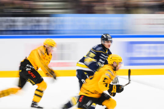 HV71s Herman Hansson