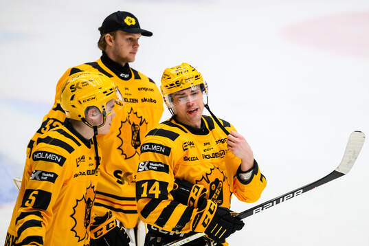 Skellefteås Andreas Johnson jublar