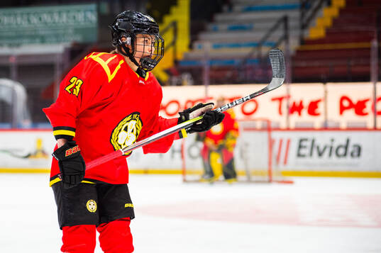 Brynäs Moa Wernblom