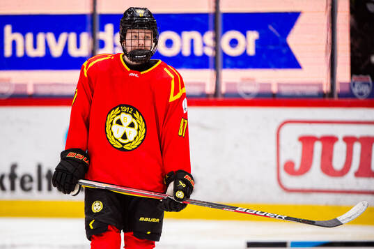 Brynäs Anna Brenkle
