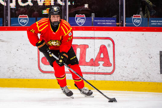Brynäs Jenny Antonsson
