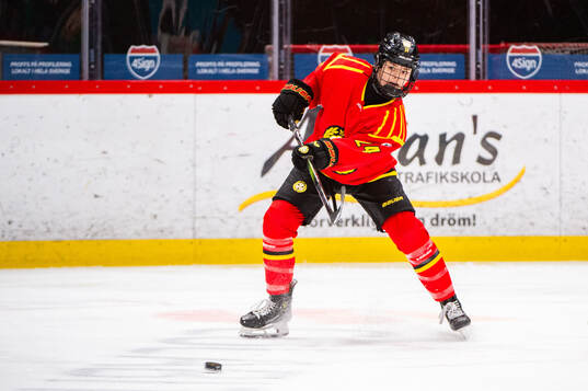 Brynäs Sara Cajanova