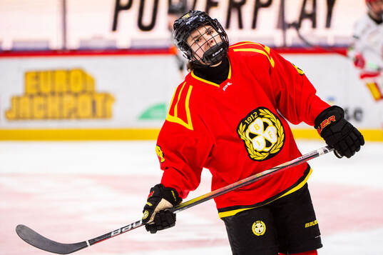 Brynäs Barbora Proskova
