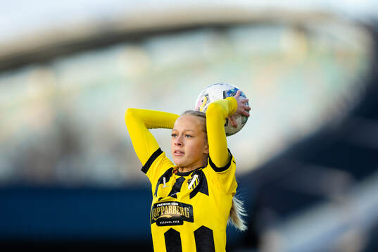 Häckens Lisa Löwing
