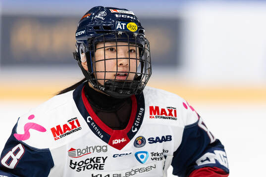 Linköpings Tako Hitosato