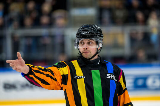 Domare Johan Wedin