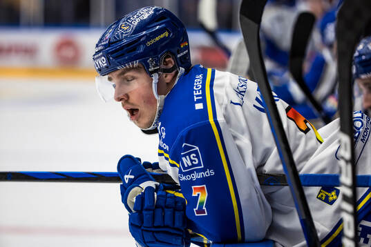 Leksands Marcus Karlberg deppar