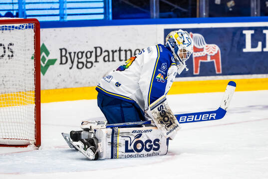Leksands målvakt Mantas Armalis deppar