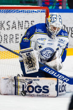Leksands målvakt Mantas Armalis