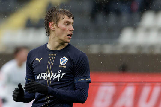 Halmstads Birnir Ingason