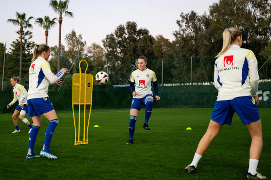 Tove Enblom of the women's national football team of Sweden