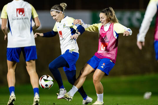 Goalkeeper Jennifer Falk and Johanna Rytting Kaneryd of the