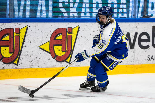 Leksands Tilde Sundnäs Grillfors