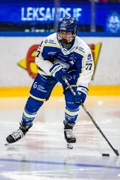 Leksands Tereza Radova