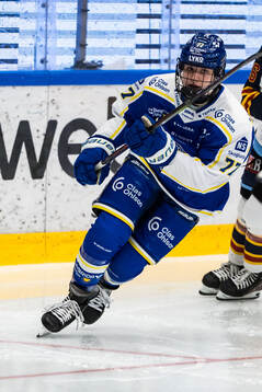 Leksands Tereza Radova