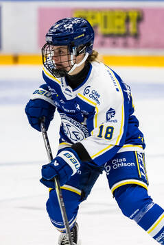 Leksands Saga Tynell-Nissas