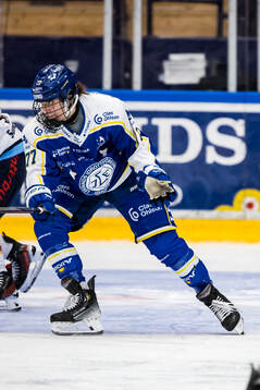 Leksands Tereza Radova