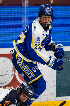 Leksands Shay Maloney