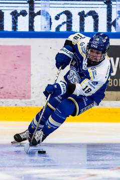 Leksands Saga Tynell-Nissas