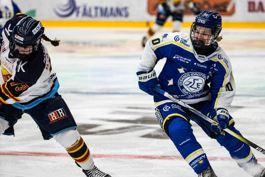 Leksands Tilde Sundnäs Grillfors