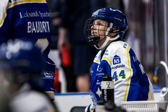 Leksands Savine Wielenga