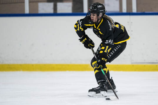 AIKs Nikola Dyckova