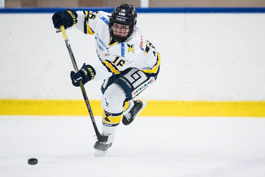 HV71s Kajsa Armborg