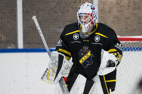 AIKs målvakt Blanka Skodova