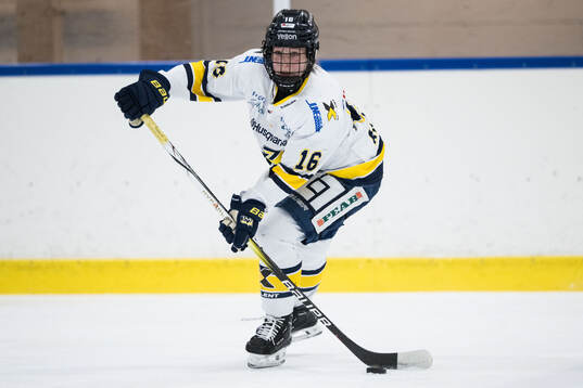 HV71s Kajsa Armborg
