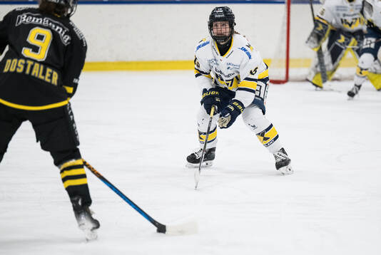 HV71s Kajsa Armborg