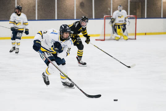 HV71s Emmi Rakkolainen