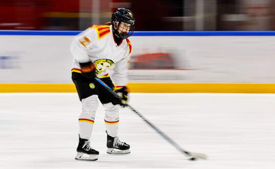 Brynäs Hanna Thuvik