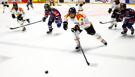Brynäs Noemi Neubauerova