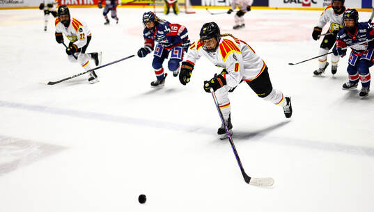 Brynäs Noemi Neubauerova