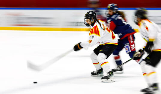under ishockeymatchen i SDHL mellan Linköping och Brynäs