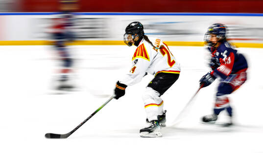 under ishockeymatchen i SDHL mellan Linköping och Brynäs