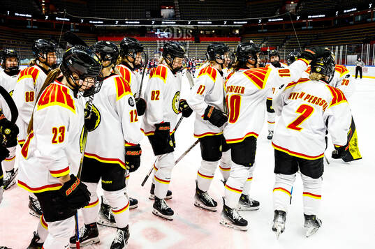 Brynäs spelare jublar