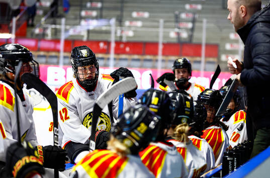 Brynäs Sini Karjalainen