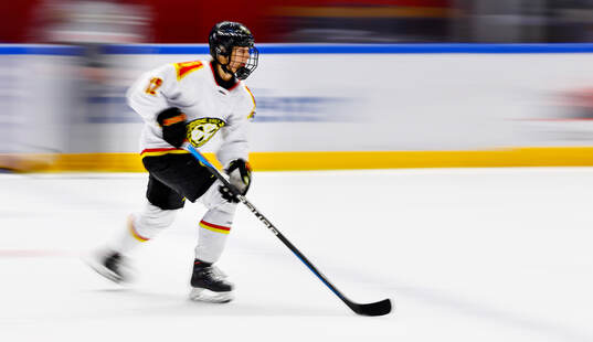 Brynäs Mina Waxin