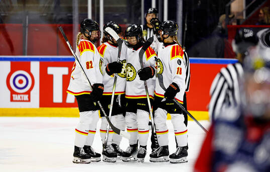 Brynäs spelare jublar