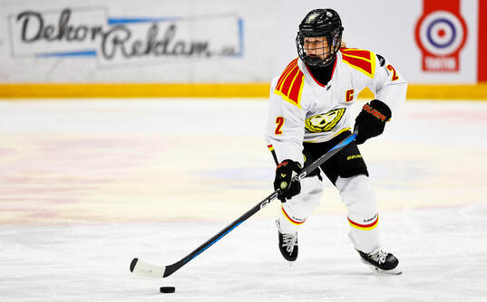 Brynäs Maja Nylen-Persson